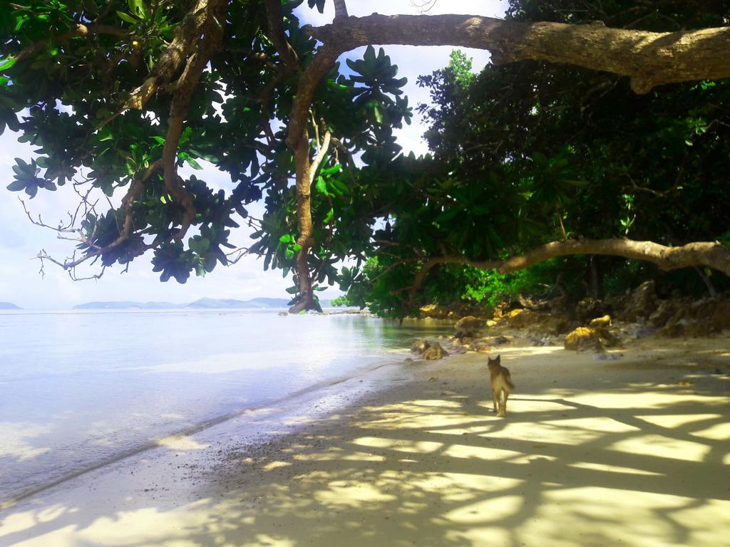 Alam Indah Beach Resort Busuanga Luaran gambar